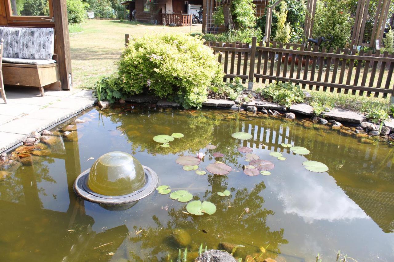 Gepetto Ferienhaus Wissenbach Hademstorf Esterno foto